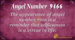 9466 angel number