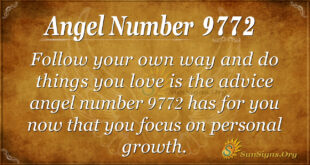 9772 angel number
