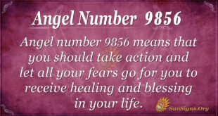 9856 angel number