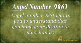 9861 angel number