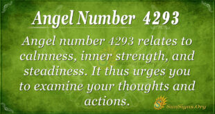 4293 angel number