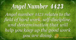 4423 angel number