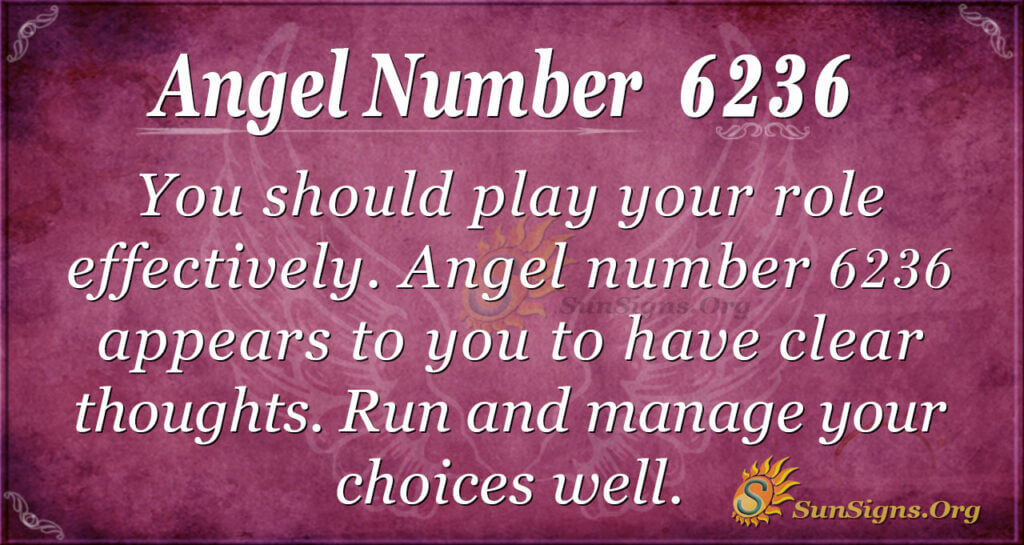 6236 angel number
