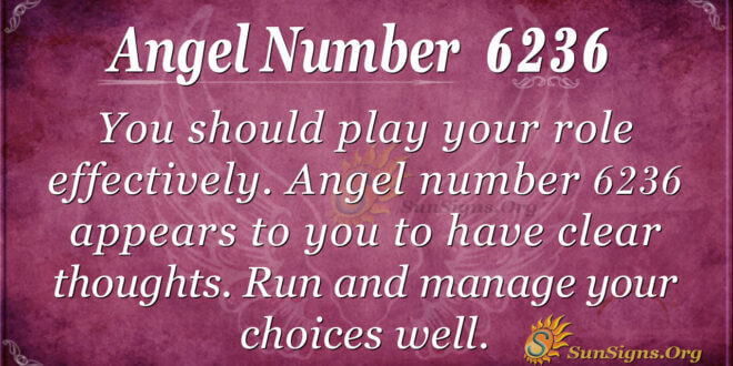 6236 angel number