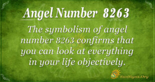 8263 angel number