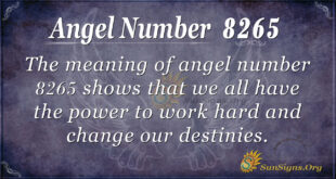 8265 angel number