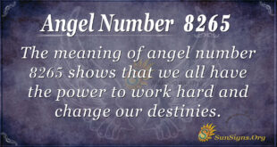 8265 angel number