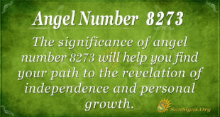 8273 angel number