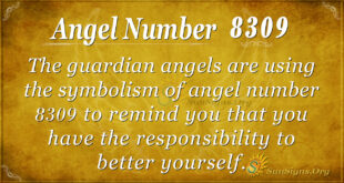 8309 angel number