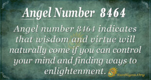 angel number 8464