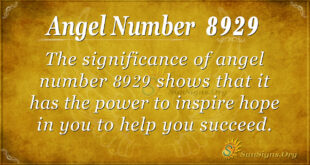 8929 angel number
