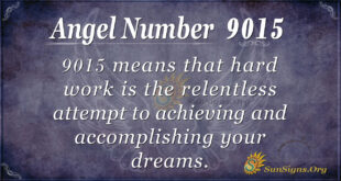 9015 angel number