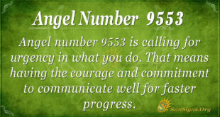 9553 angel number