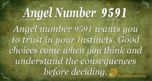9591 angel number