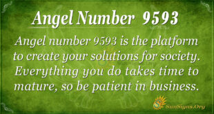 9593 angel number
