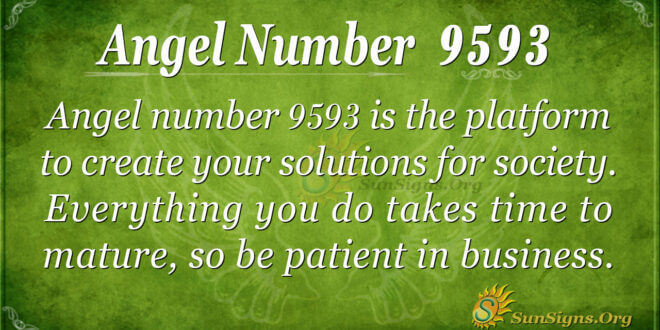 9593 angel number