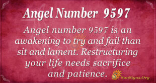 9597 angel number