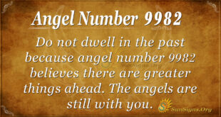 9982 angel number