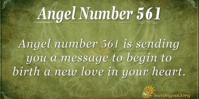 Angel Number 561