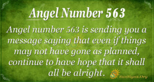 Angel Number 563