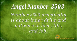 3503 angel number