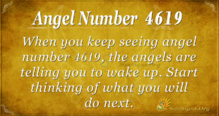 4619 angel number