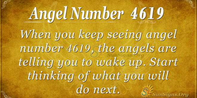 4619 angel number