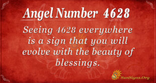 4628 angel number