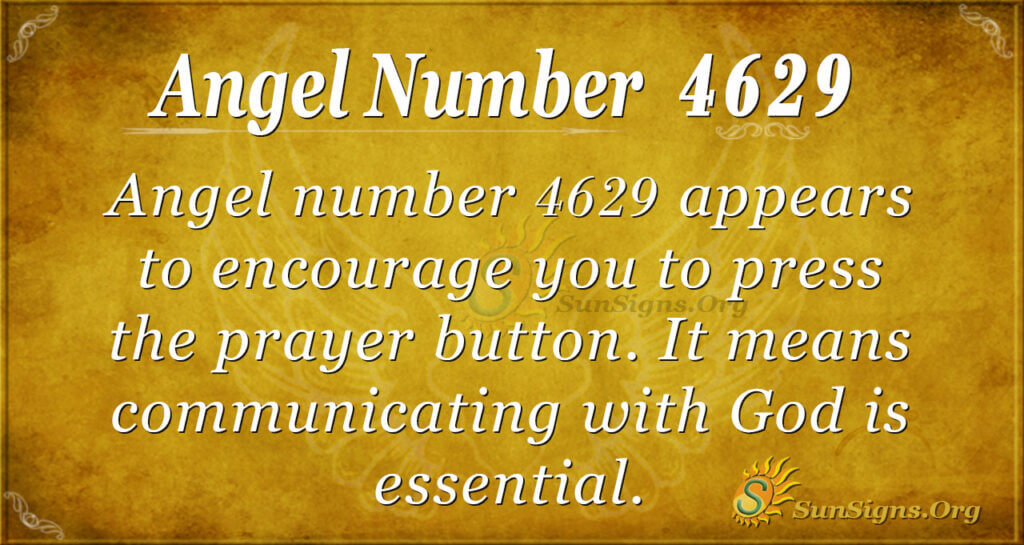 4629 angel number