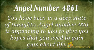 4861 angel number