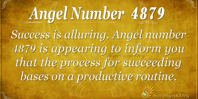 4879 angel number