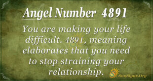 4891 angel number