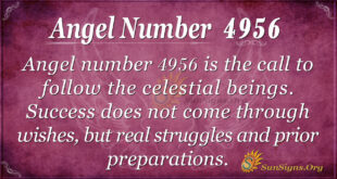 Angel Number 4956 Meaning Follow The Angels SunSigns Org