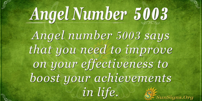 5003 angel number