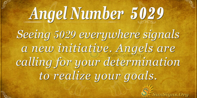 5029 angel number