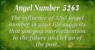 5263 angel number