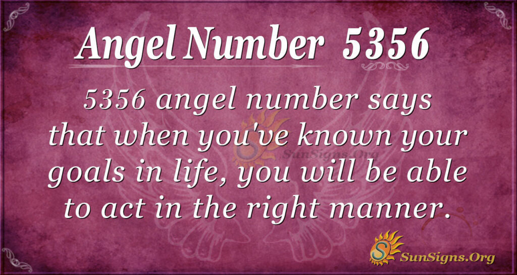 5356 angel number
