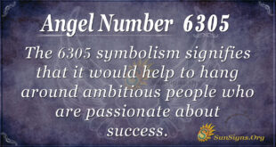 6305 angel number