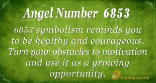 6853 angel number
