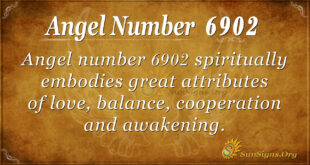 6902 angel number