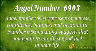 6903 angel number
