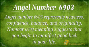 6903 angel number