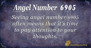 6905 angel number