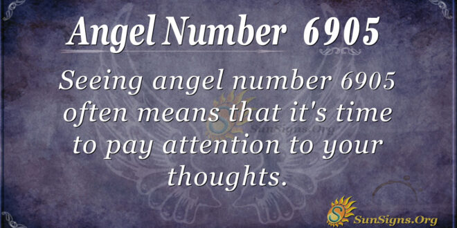 6905 angel number