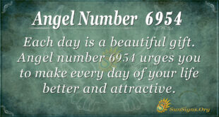 6954 angel number