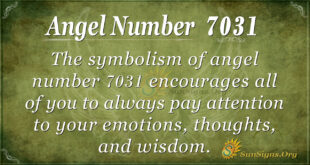 7031 angel number