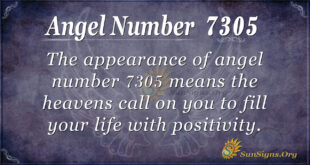 7305 angel number