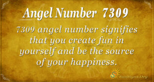 7309 angel number