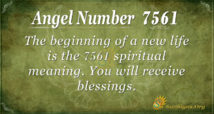 7561 angel number