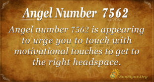 7562 angel number